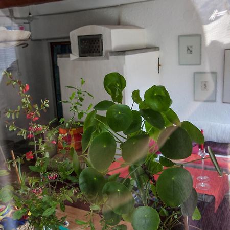 Bed And Breakfast Da Toldo Russo ภายนอก รูปภาพ