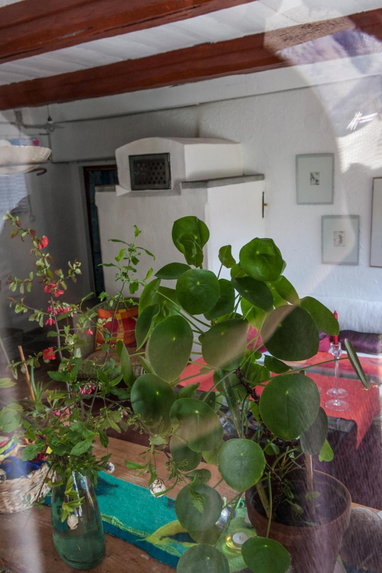 Bed And Breakfast Da Toldo Russo ภายนอก รูปภาพ