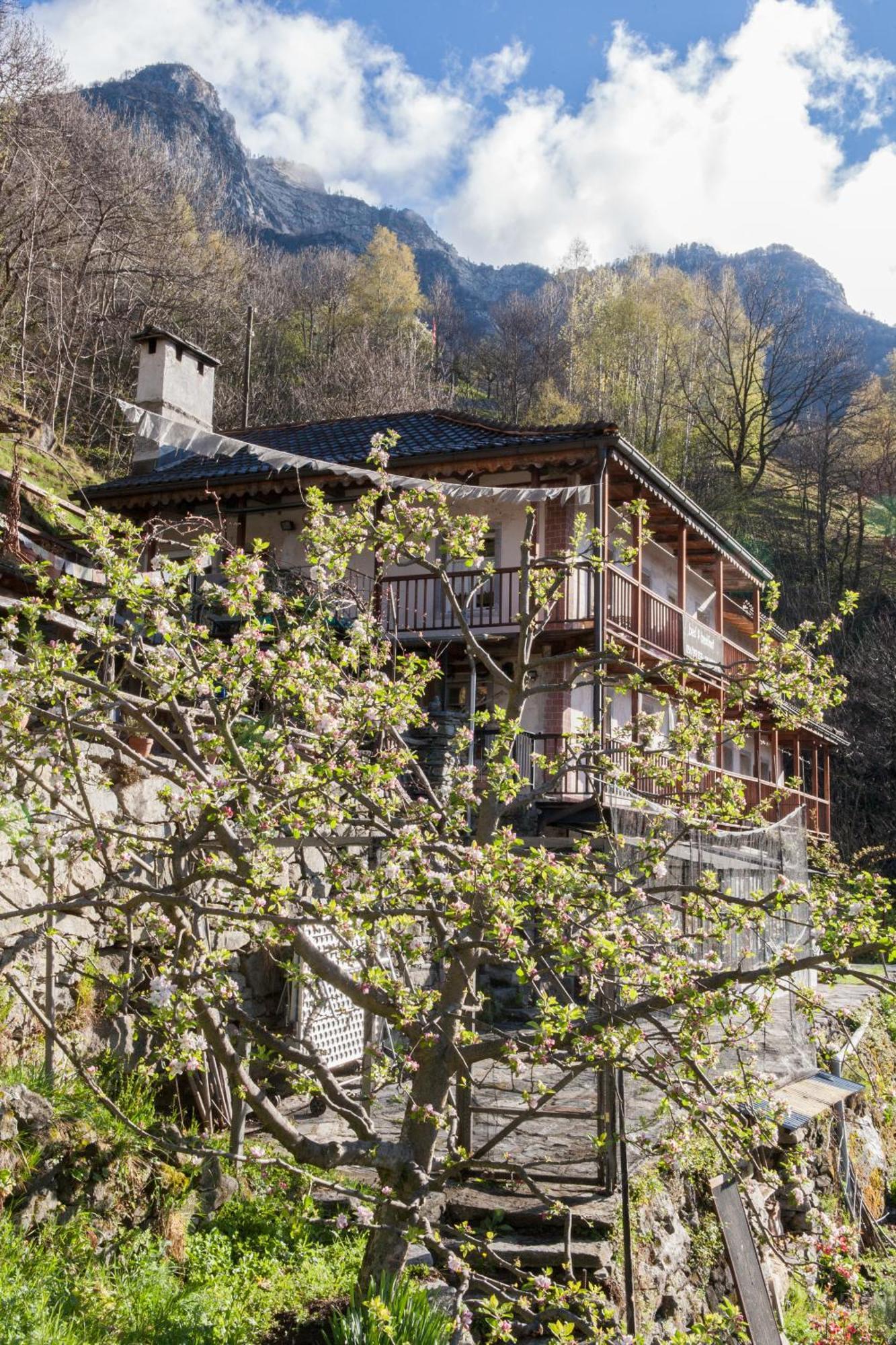 Bed And Breakfast Da Toldo Russo ภายนอก รูปภาพ